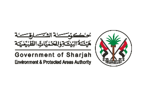 بينالي الشارقة 16: رِحالنا