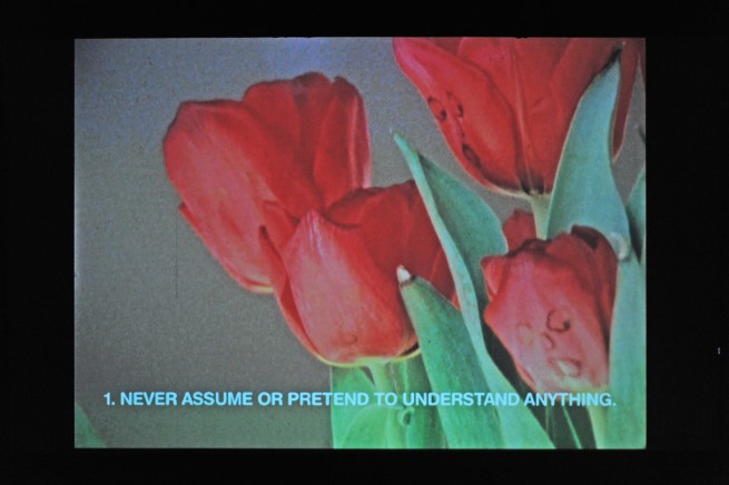 13 Essential Rules for Understanding the World