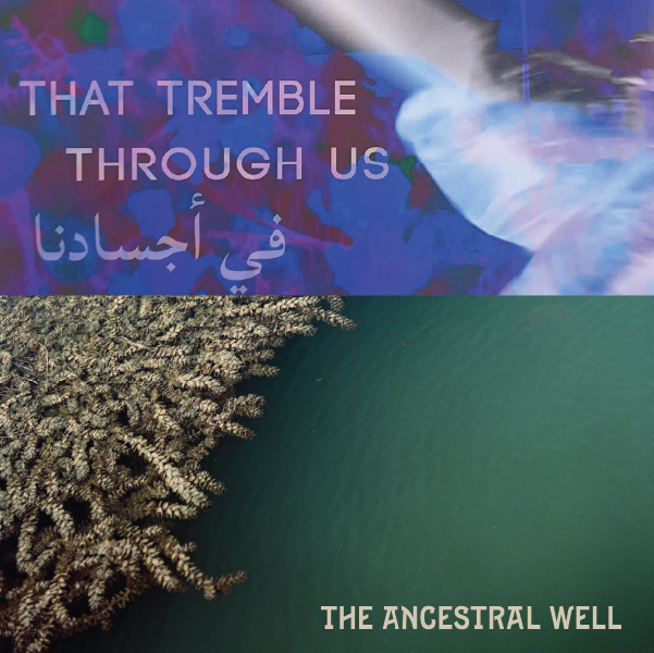 Sharjah Art Foundation releases two vinyl albums for Sharjah Biennial 16: to carry