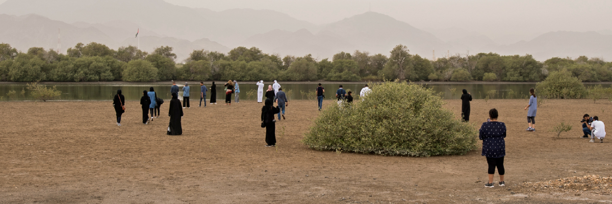 Field Notes: Kalba