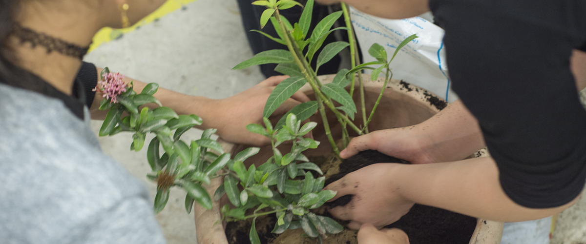 أنشؤوا حديقتكم 