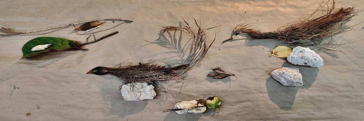 Focus on Process: Ephemeral Art