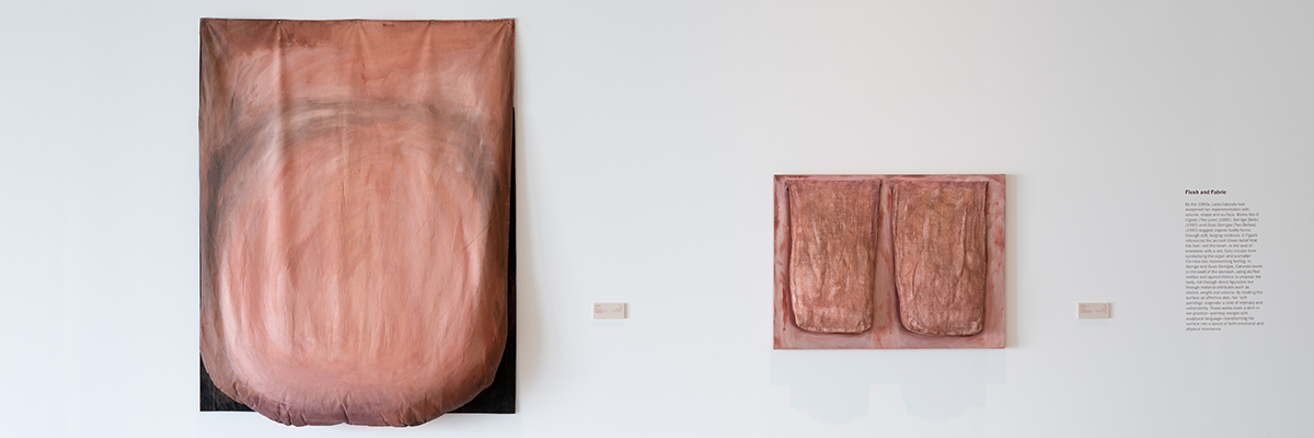 Shahd Murshed on Leda Catunda’s <em>Barriga</em> (1993)