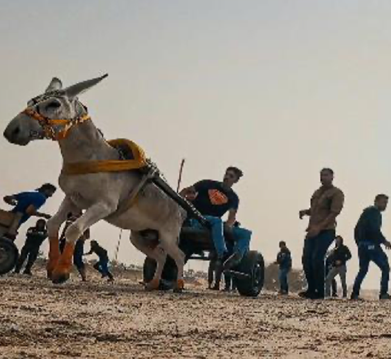  Sharjah Art Foundation presents Sharjah Film Platform Montage at Emami Art Experimental Film Festival