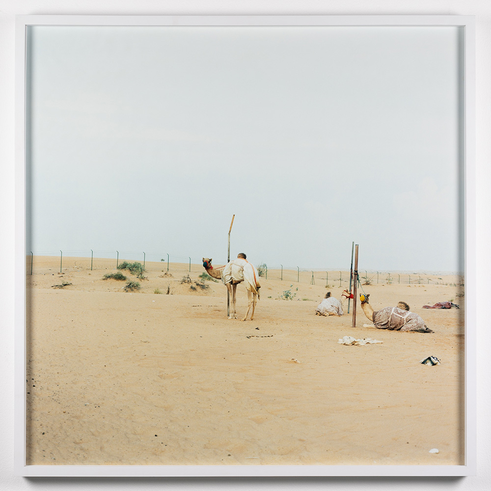 In The Desert #1
