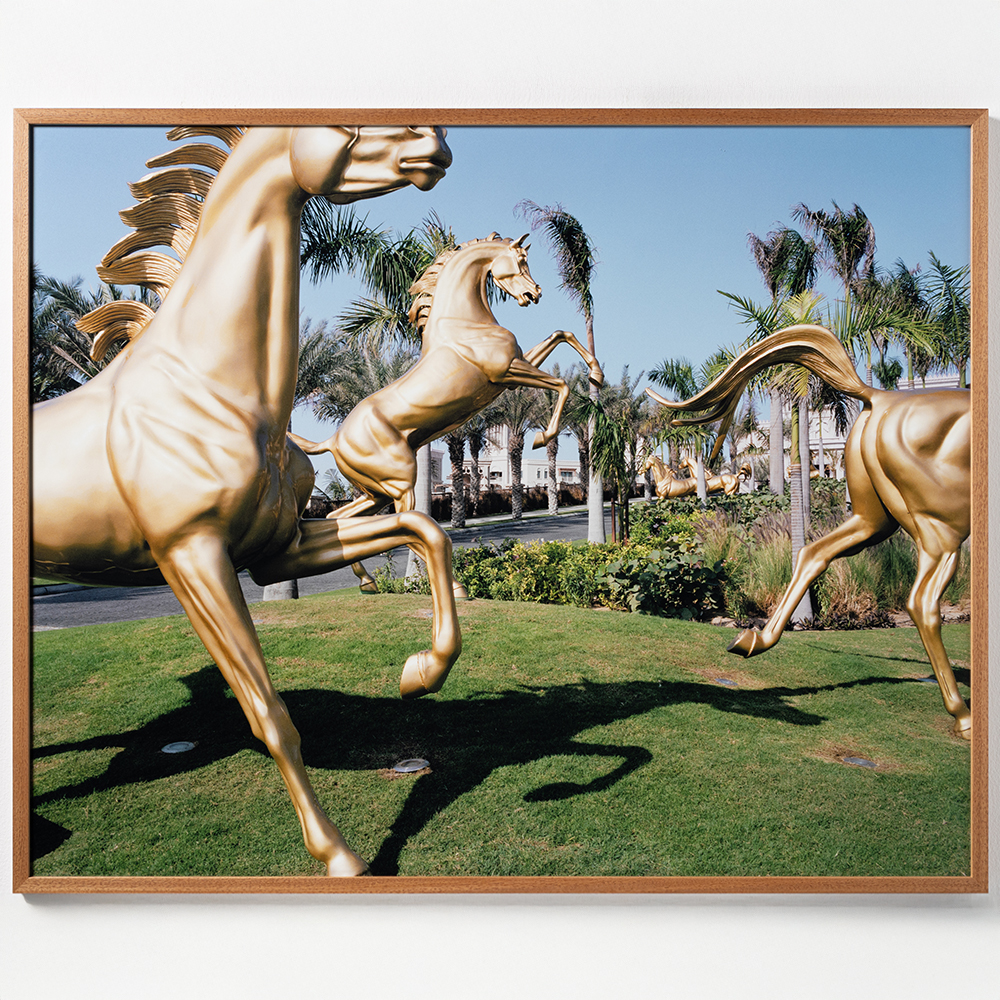 Horses