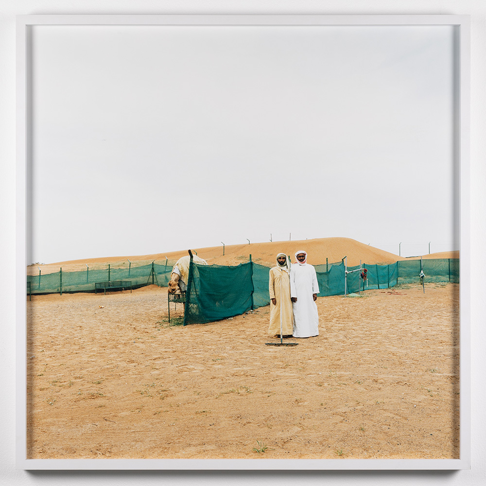 In The Desert #6