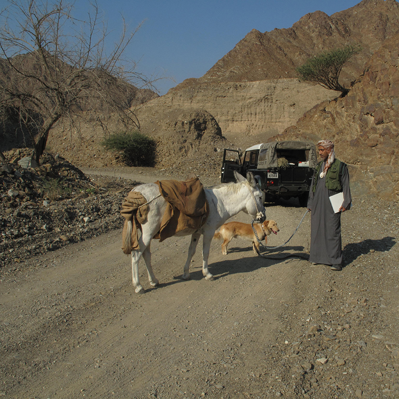 Camar Cande’s Journey