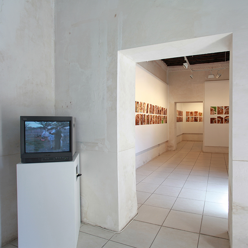 Camar Cande’s Journey