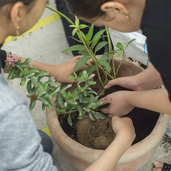 أنشؤوا حديقتكم 