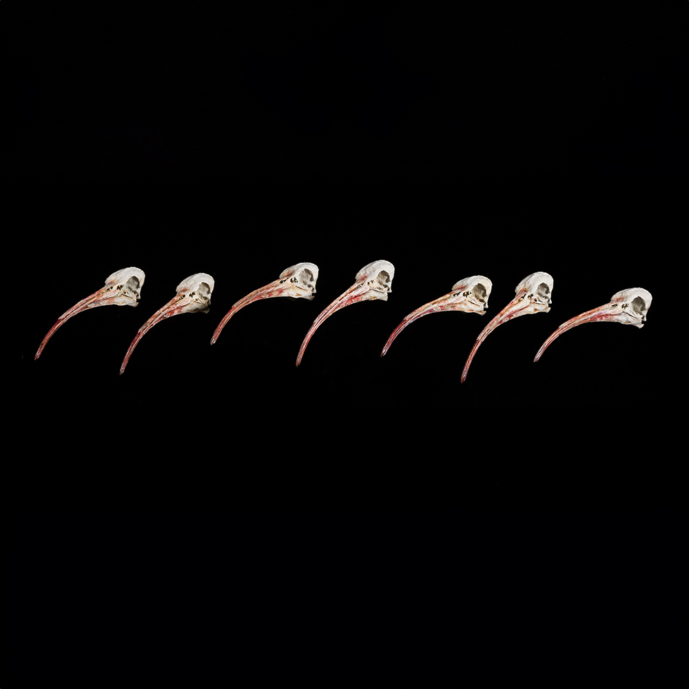 الرحلة الأخيرة