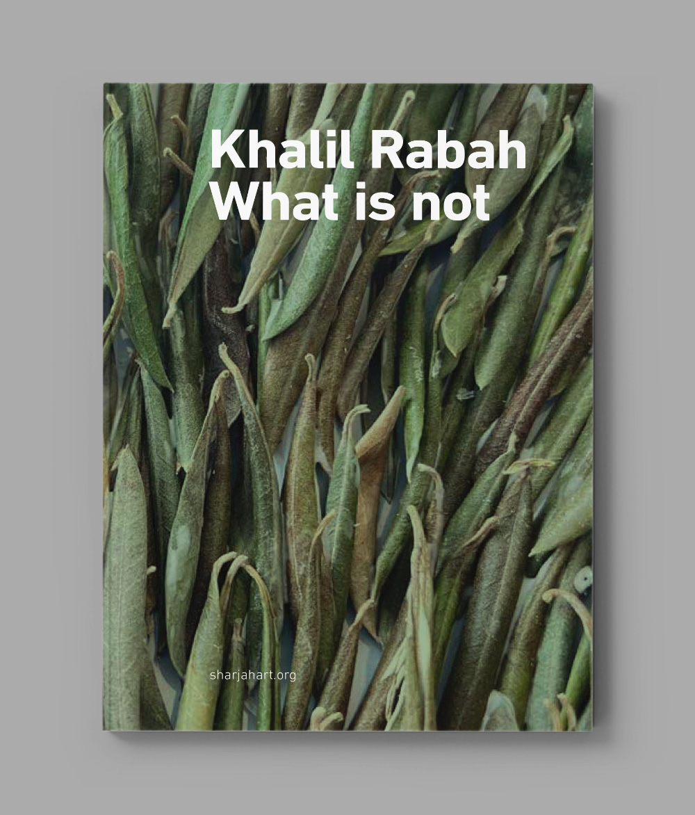 Khalil Rabah: What is not