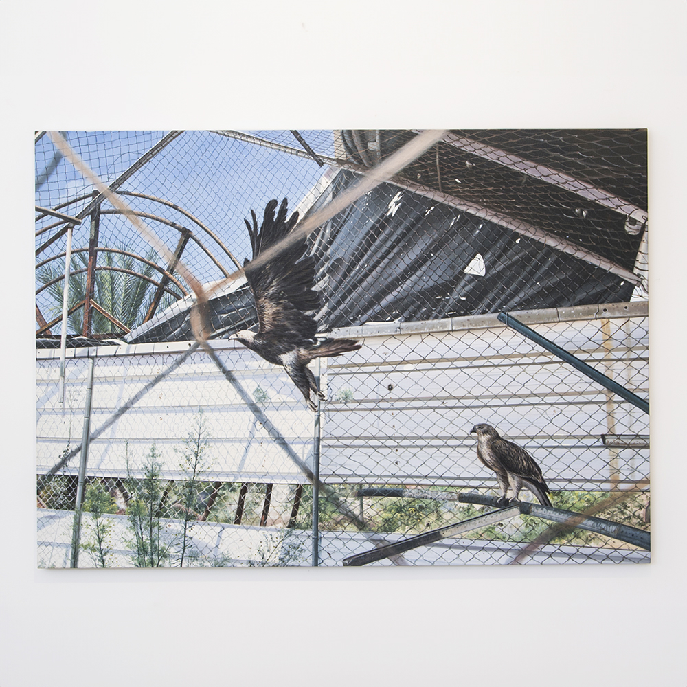 Eagle