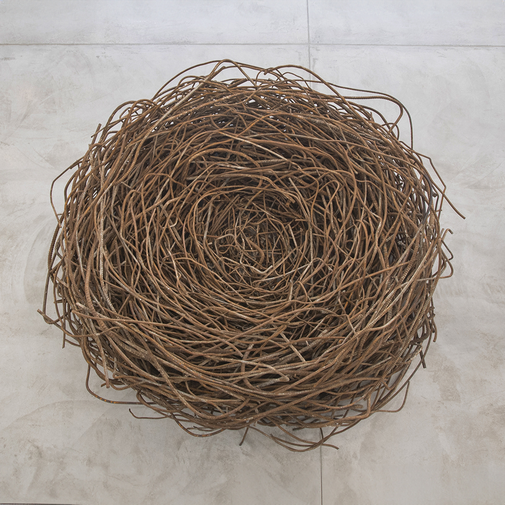 Nest