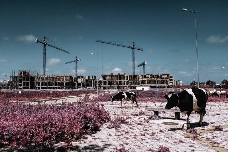 Sharjah Art Foundation’s Annual Photography Exhibition Vantage Point Sharjah Back for Seventh Edition