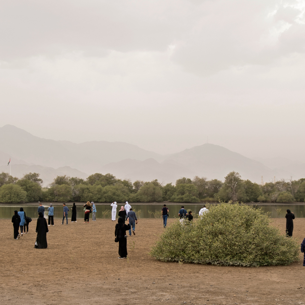 Field Notes: Kalba