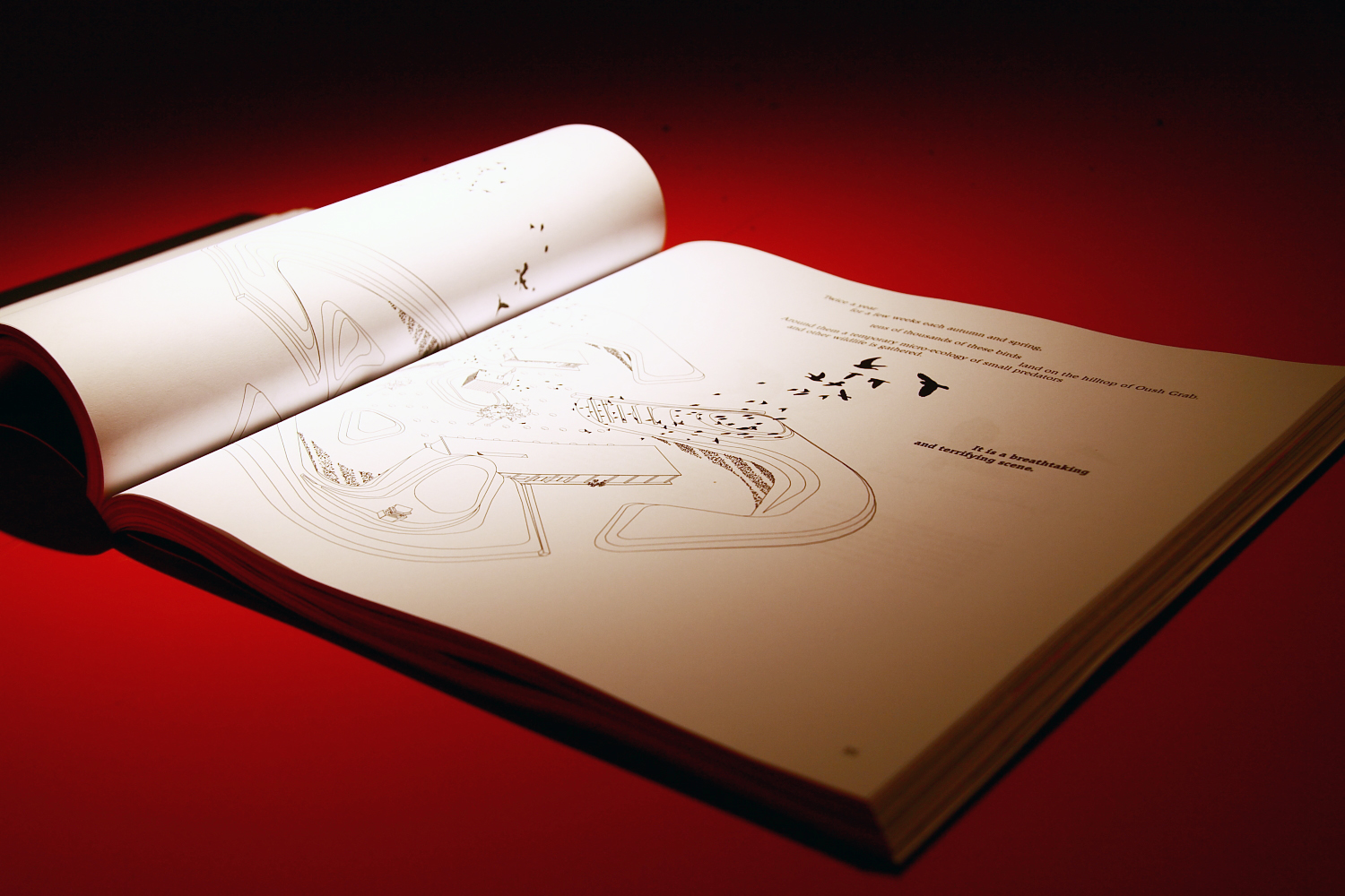 كتاب التدمير