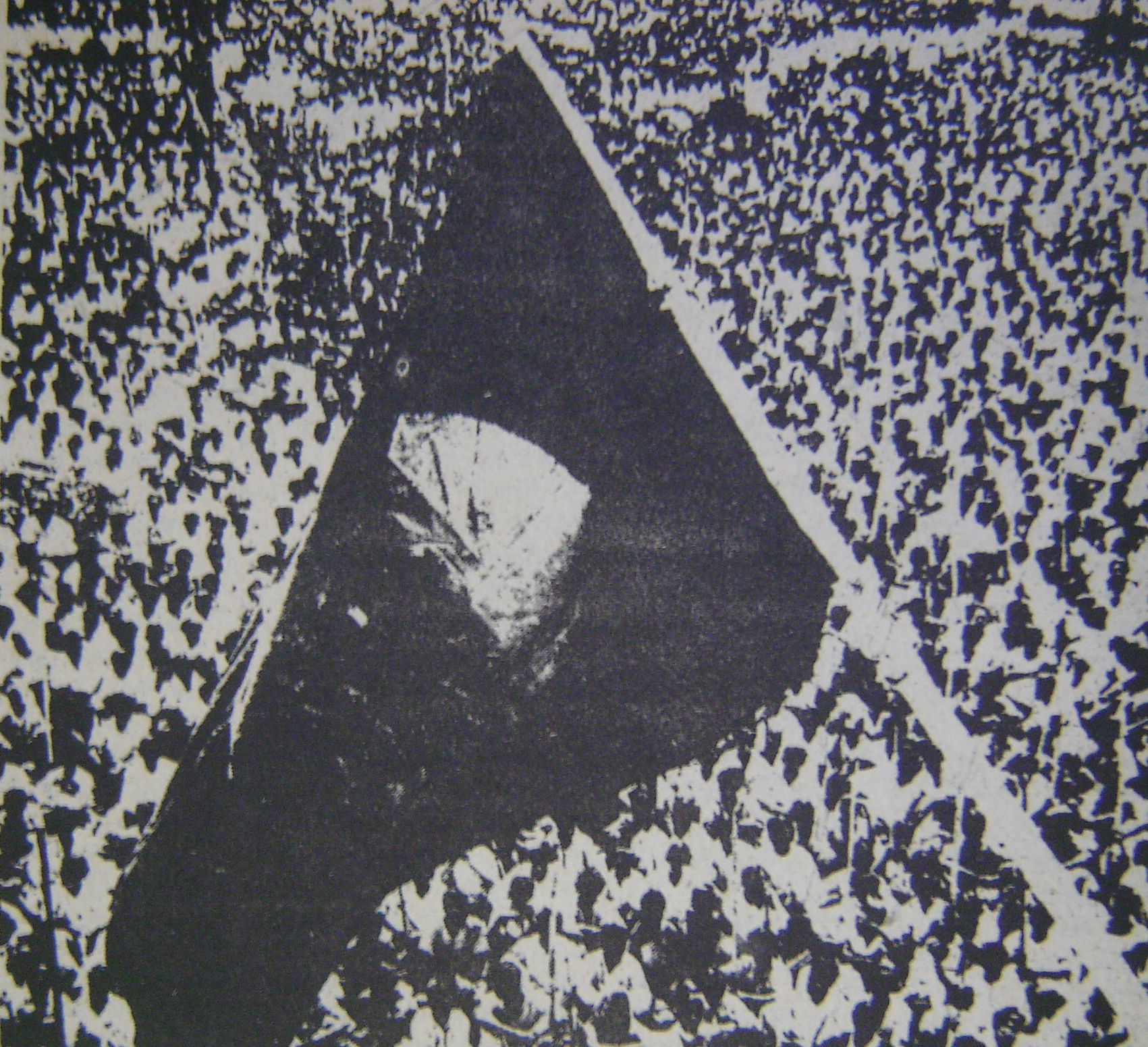 The Young Man Was No Longer…(work in progress)