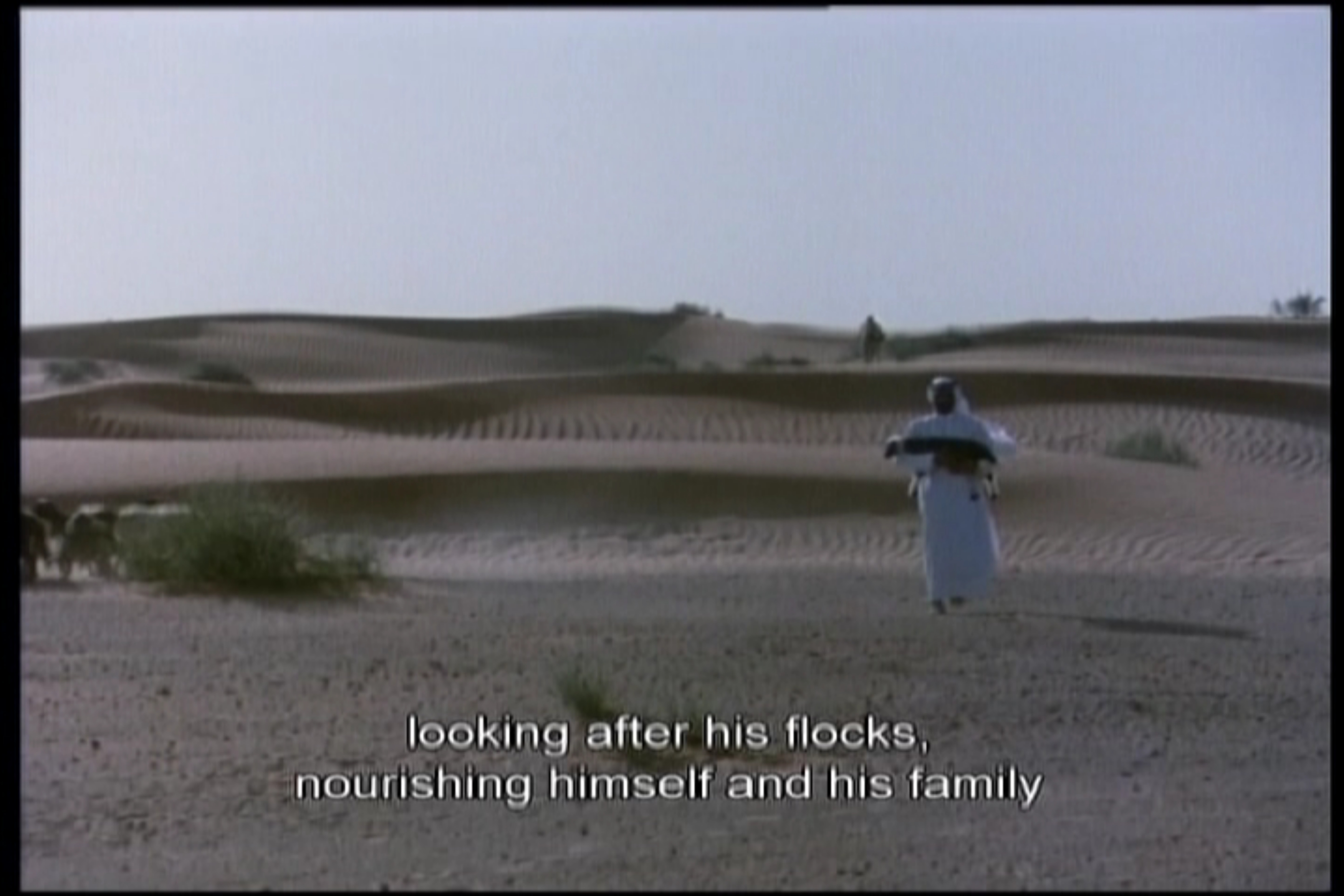 لآلئ الخليج الفارسي: دبي 1975