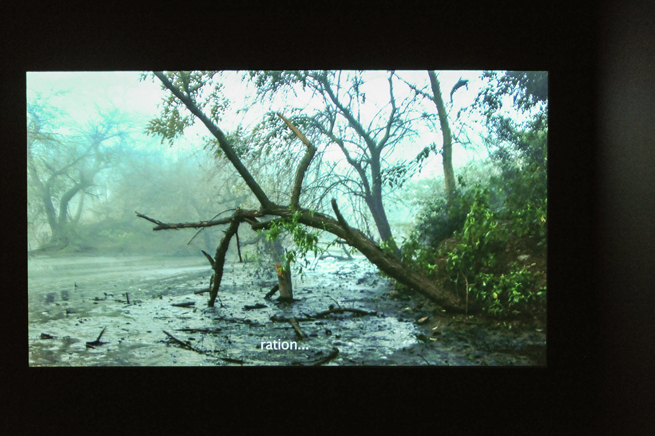 مذكرات بركة المجاري