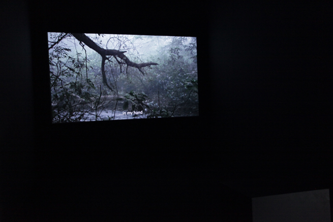 مذكرات بركة المجاري