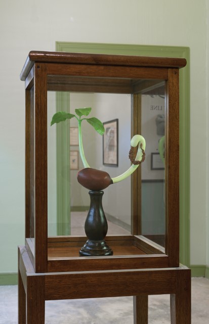 متحف الزراعة العاملية