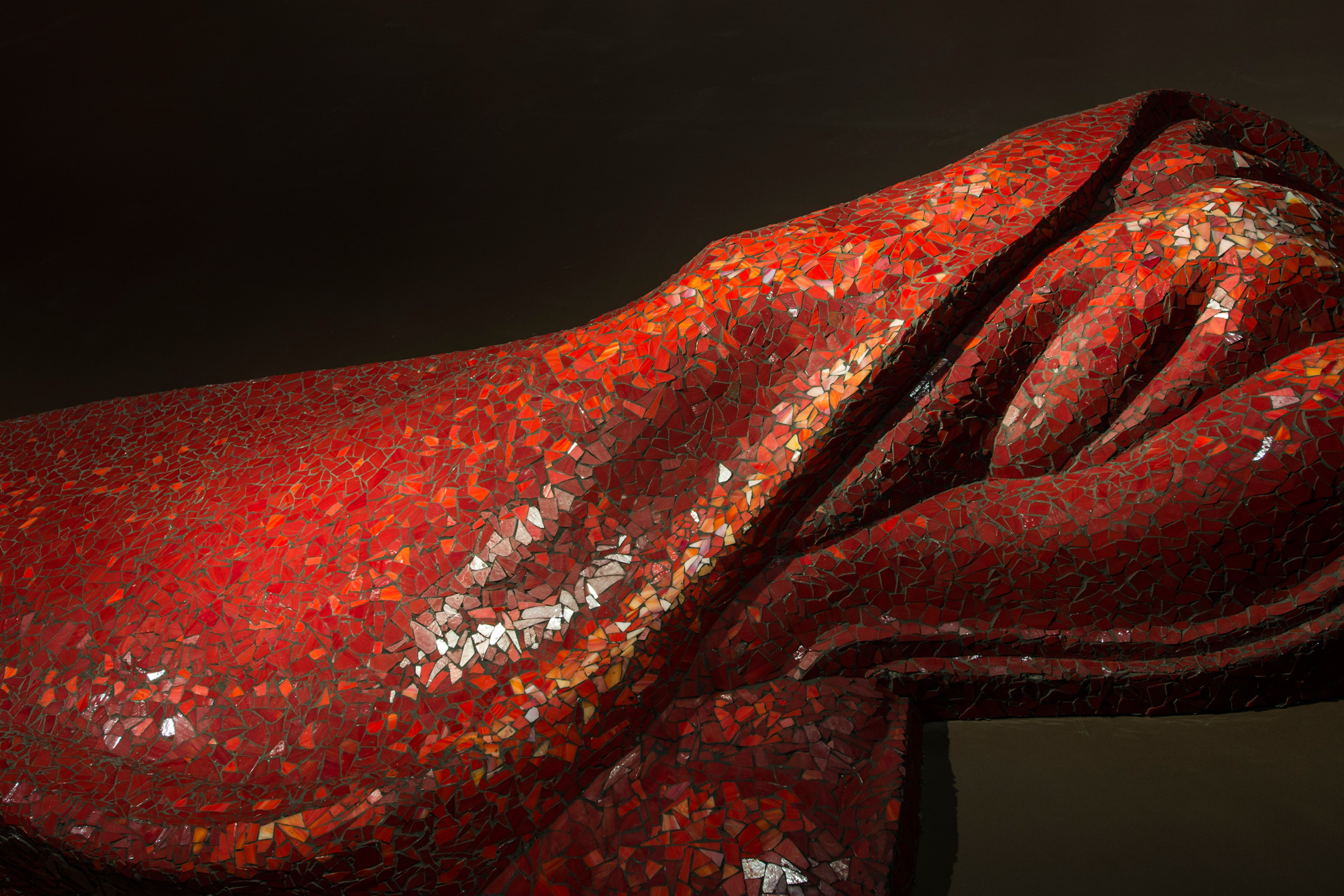 طيور النورس تُحلق على مقربةٍ من الأرض