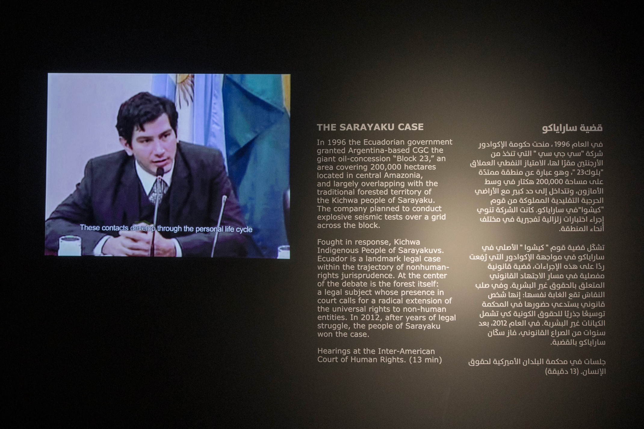 غابة القضاء