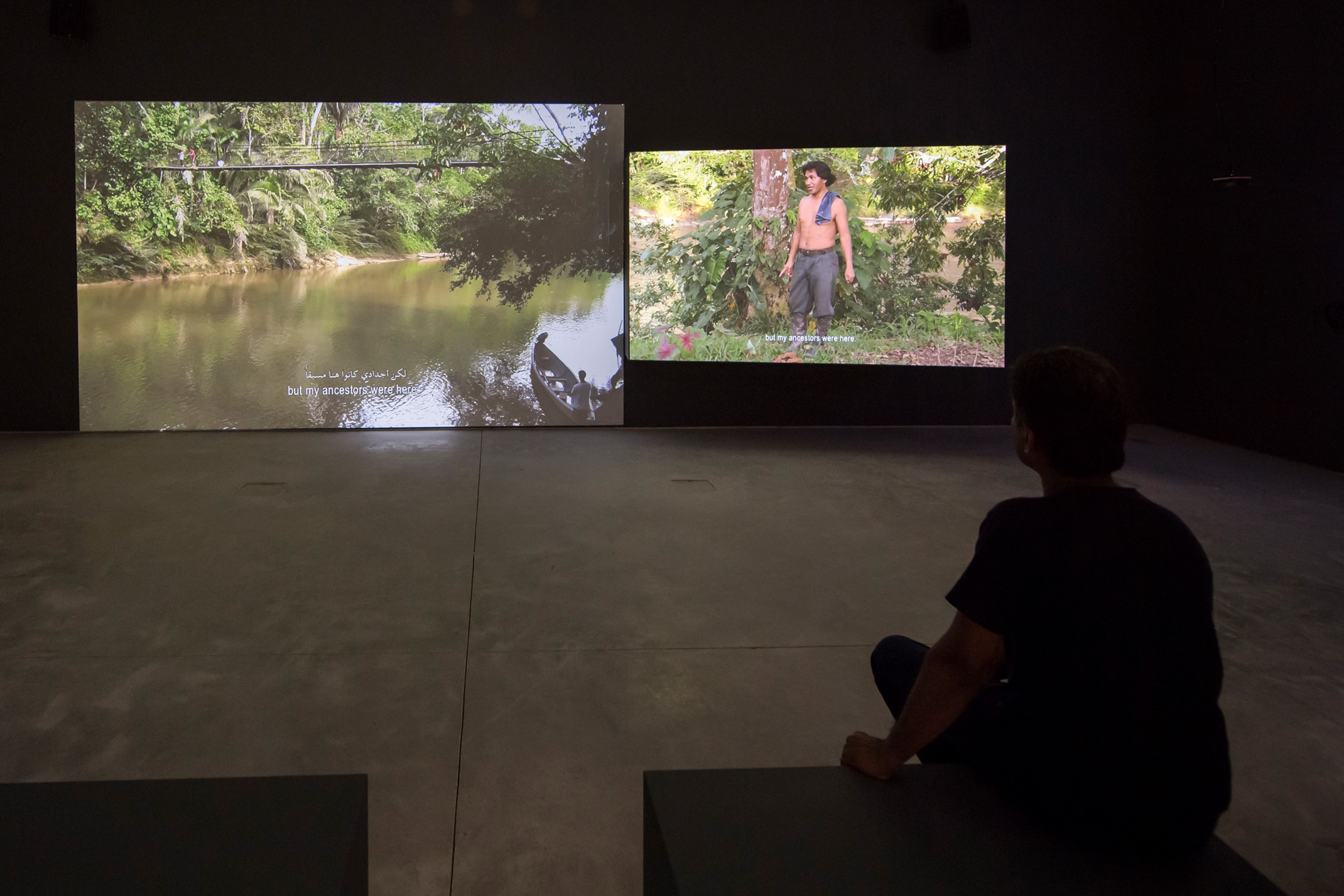 غابة القضاء