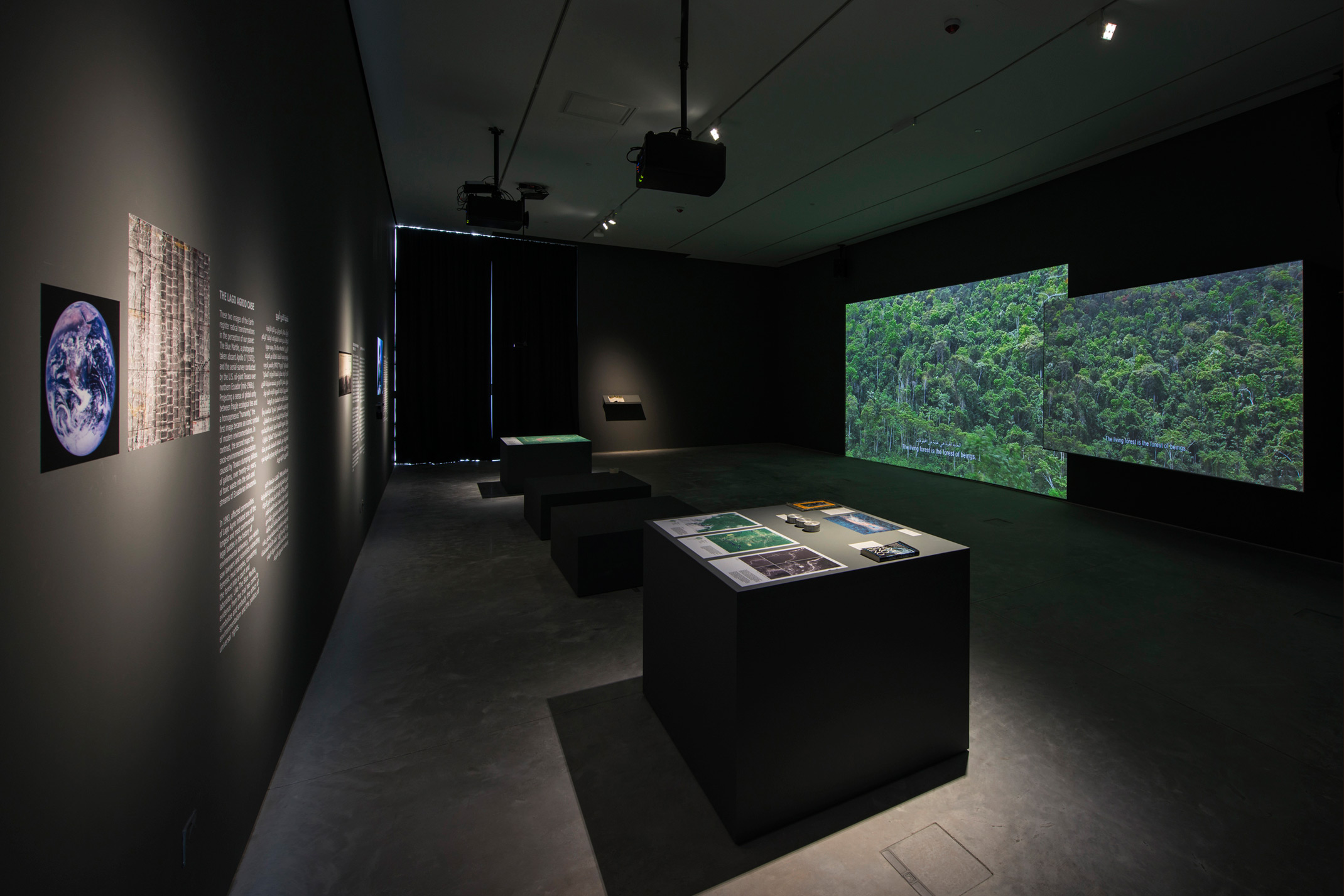 غابة القضاء