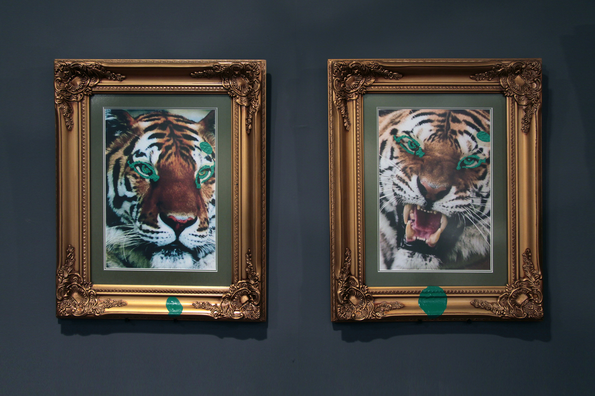 هلسيون تارب (القماش الهادىء)