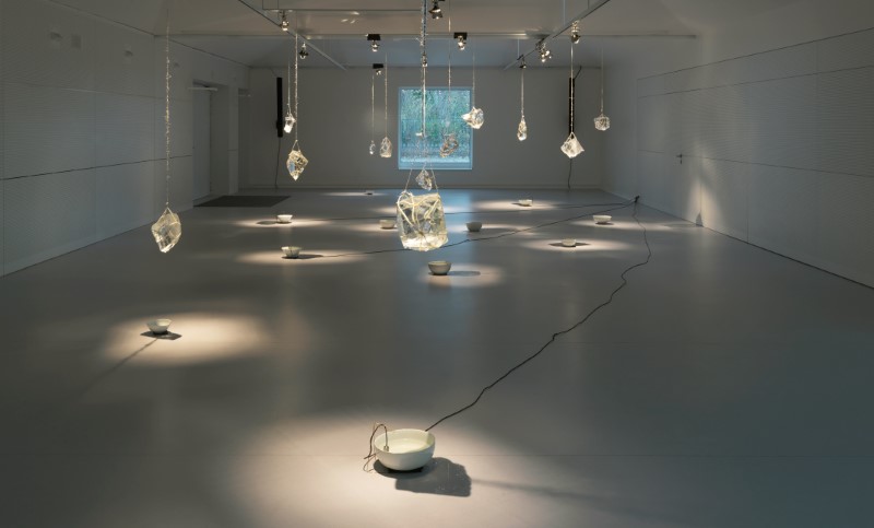 Sharjah Art Foundation presents Inter-Resonance: Inter-Organics, the second edition of Sharjapan