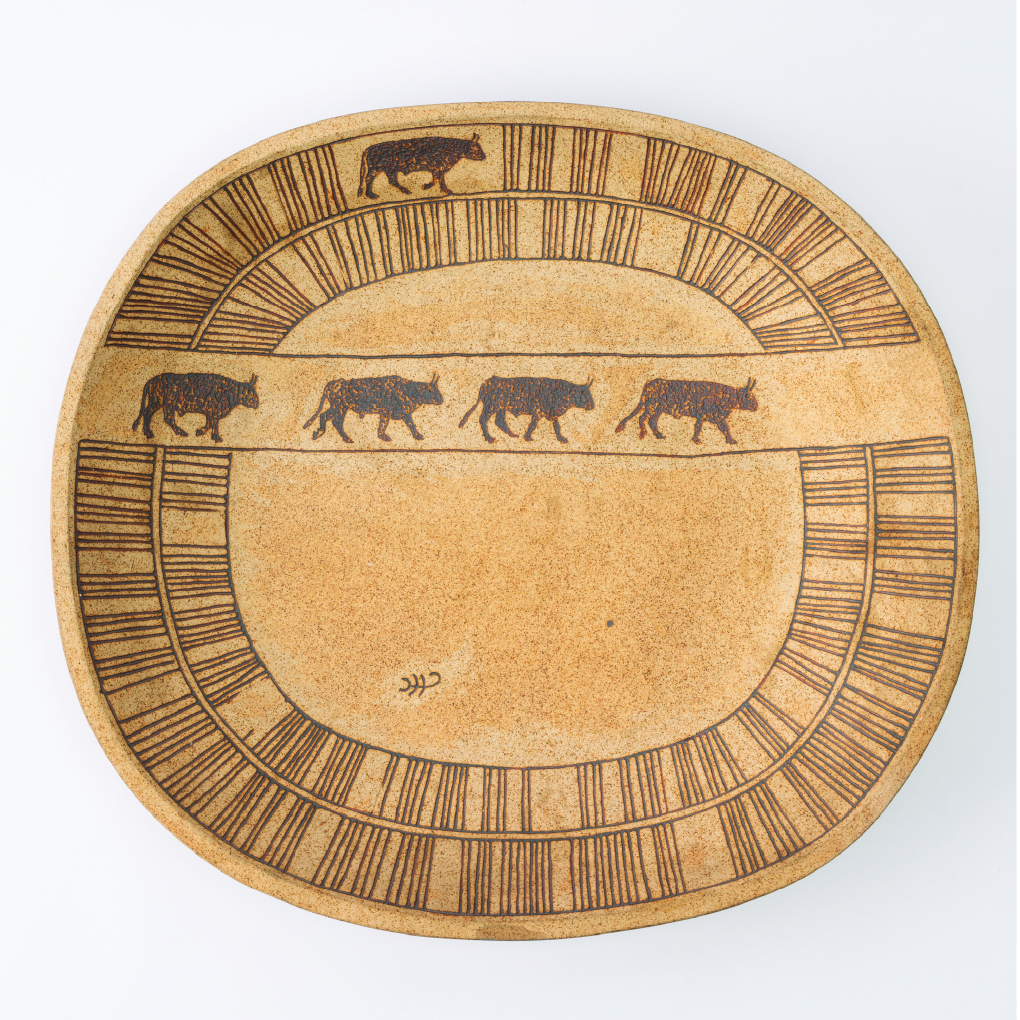 أبقار الرحلة الصحراوية