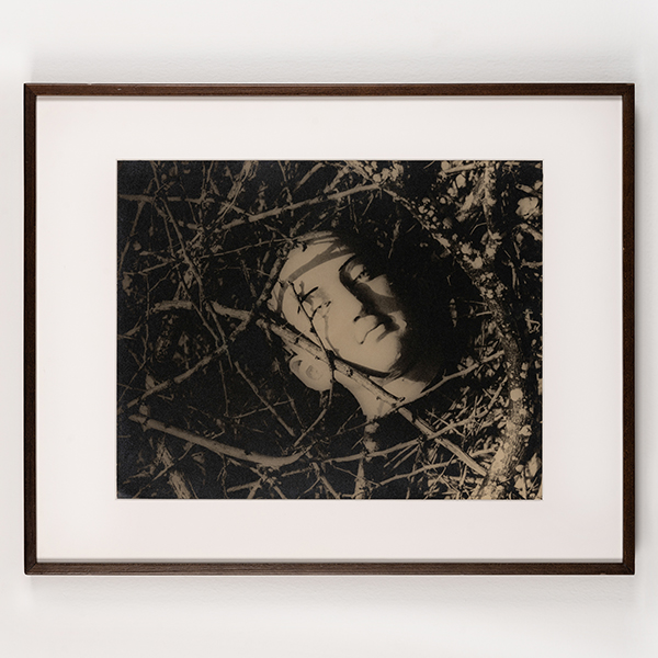 Untitled (Head Among Twigs 2)