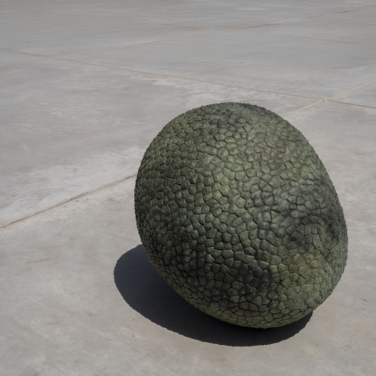 Breadfruit