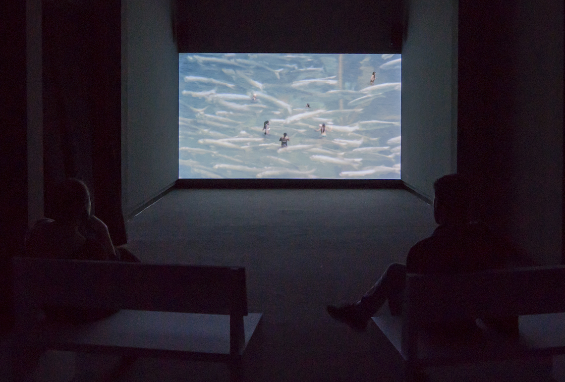 لا شهب، لا أمنيات