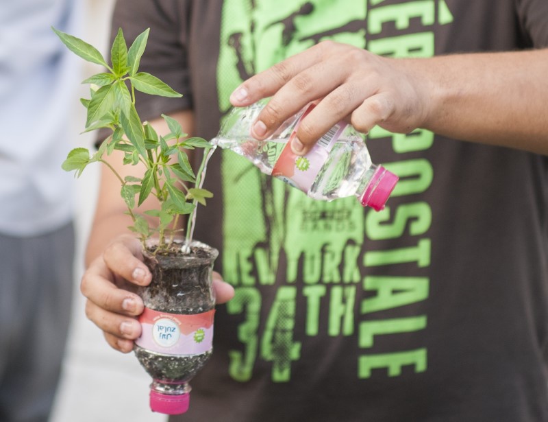 Vertical Gardening Workshop