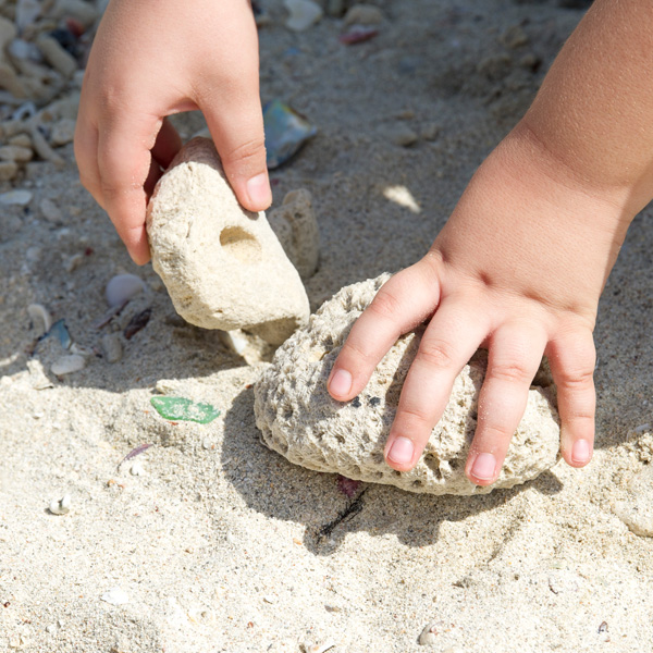 فن الصخور والحبال