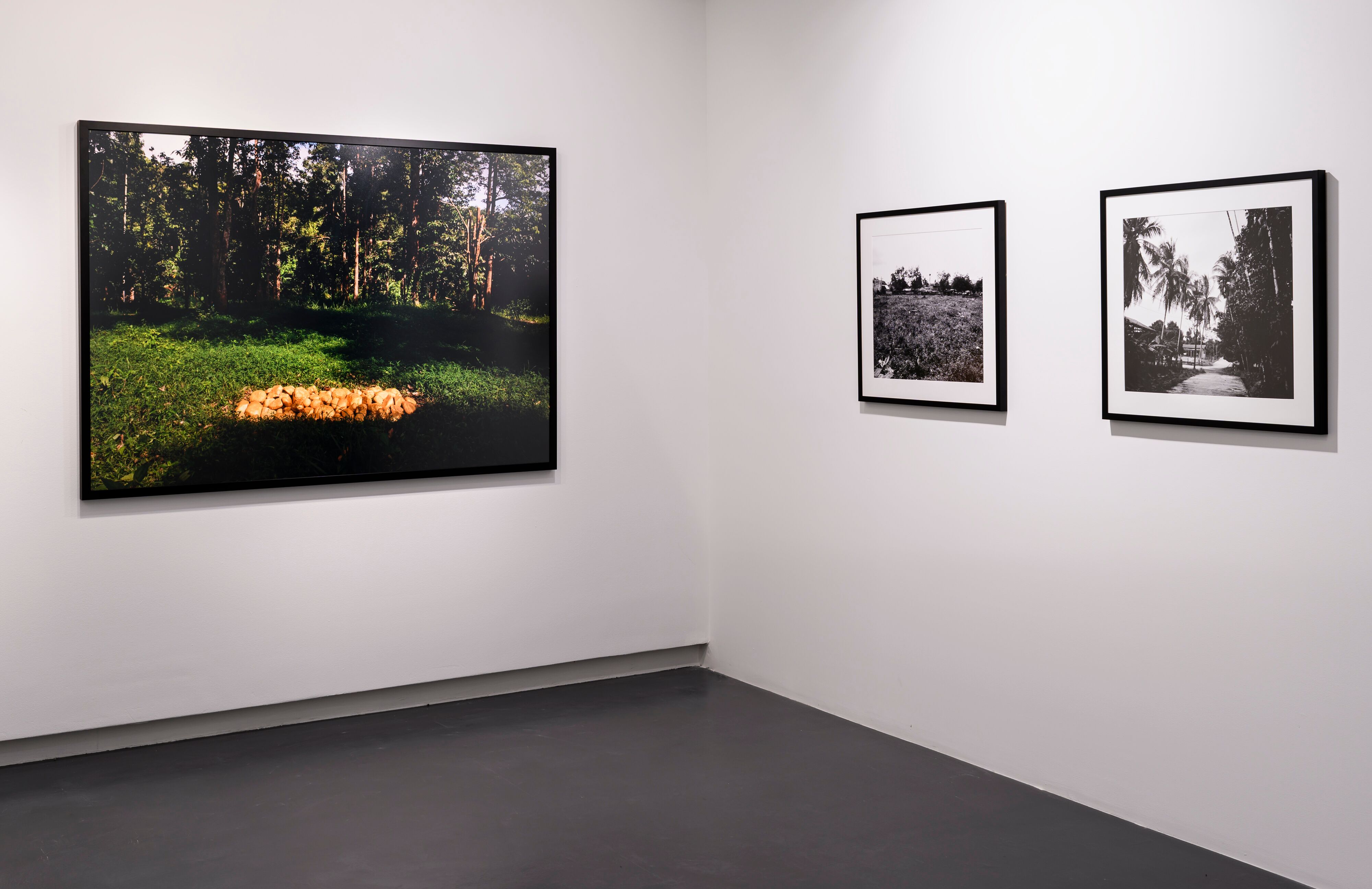 TUGU 1370: 1425(2018–2019)