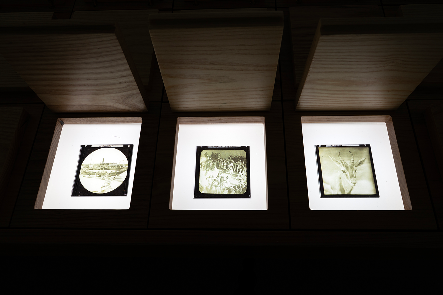 Photographic Encounters along the Gulf Coasts