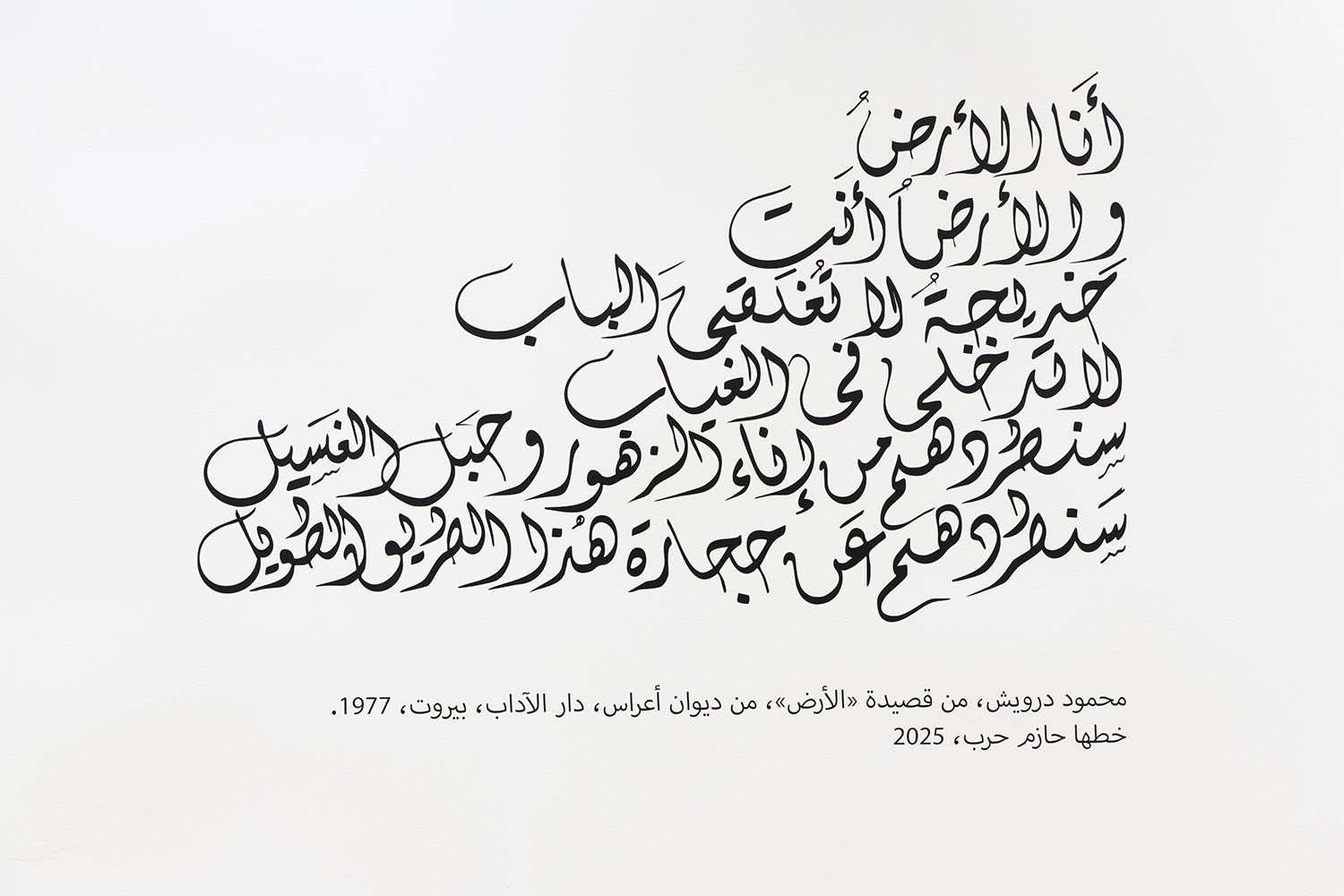 كان لي يوم يكون 