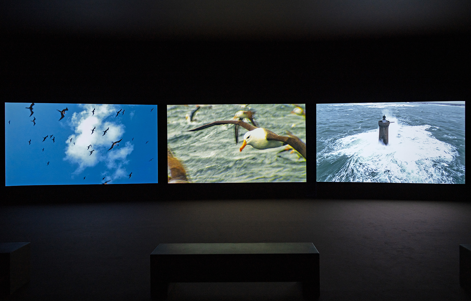 من أرضٍ ومياه: أعمال من مقتنيات مؤسسة الشارقة للفنون 